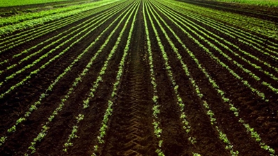 Low ceilings lead to more farm land for redistribution