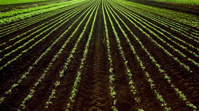 Low ceilings lead to more farm land for redistribution