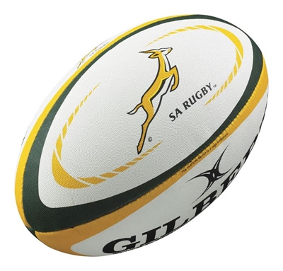 Springboks need new lock, flank