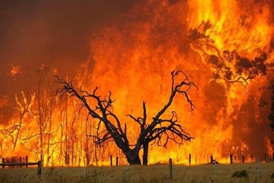 Continuous efforts by Working on Fire