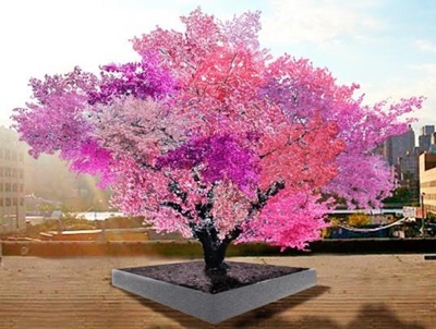 Professor creates tree bearing 40 types of fruit