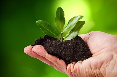 Making Hessequa 110% green
