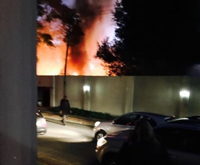 Grandad saves dog from burning Parktown North home