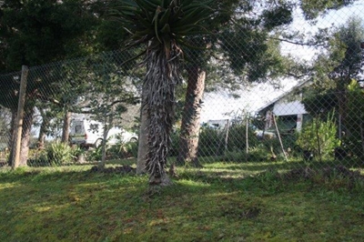 Update: Elderly woman murdered