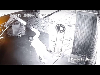 Tiny dogs chase thief away