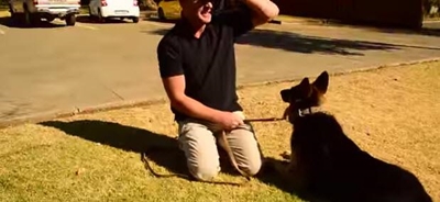 Iraq war dog reunited with SA handler after 2 years