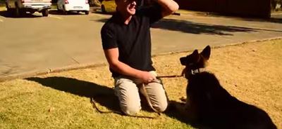 Iraq war dog reunited with SA handler after 2 years
