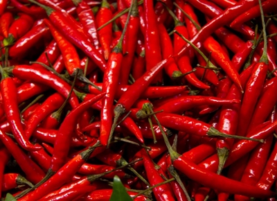 Sowing & selling chillies