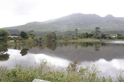 Arbor Week at botanical garden