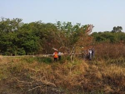 2 killed as plane crashes south of Durban