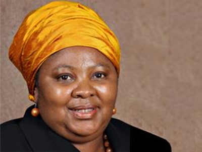 Government did not know jet belonged to Guptas: defence minister