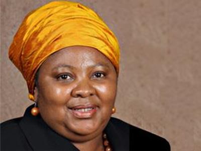 Government did not know jet belonged to Guptas: defence minister