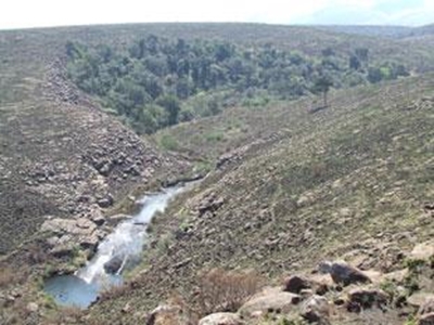 Man swept away in Elands River