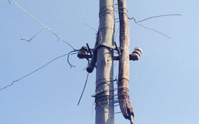 Parents devastated after son electrocuted
