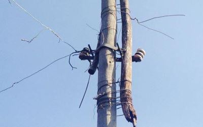 Parents devastated after son electrocuted