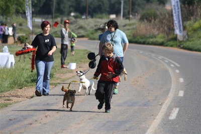 Inwoners stap vir diere