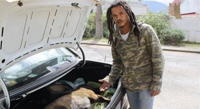 Polisie skiet hond dood tydens klopjag