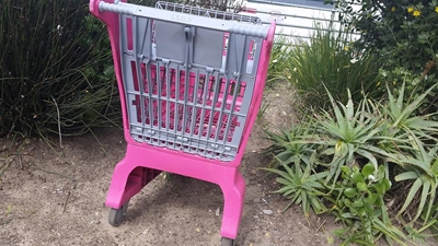 Trolley theft a big concern