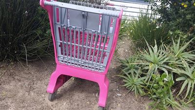 Trolley theft a big concern