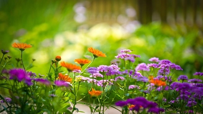 Wen met jou tuin