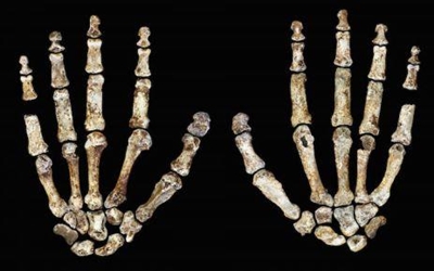 Homo Naledi leaves South Africans speechless, proud