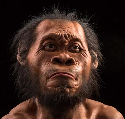 Homo naledi debate: Humans don't come from baboons