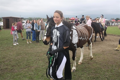 Mad Horse Fun Show tomorrow