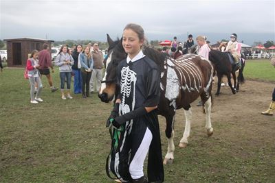 Mad Horse Fun Show tomorrow