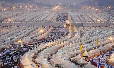 Undisciplined pilgrims blamed for stampede