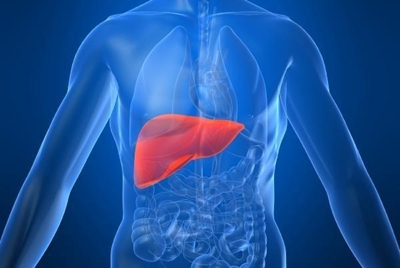 Take care of your liver
