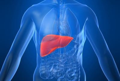 Take care of your liver