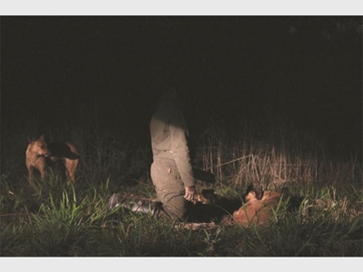 Alleged poacher is only 11