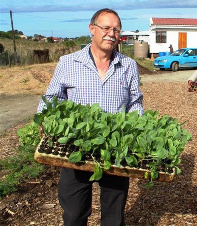 Free food gardening guide