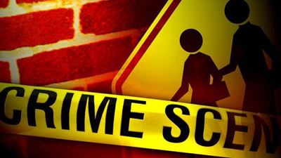Crime addressed at school level