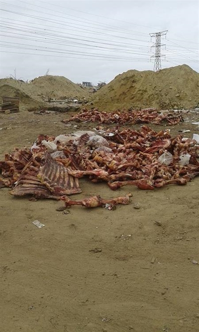 Rotten meat dumped at George landfill site