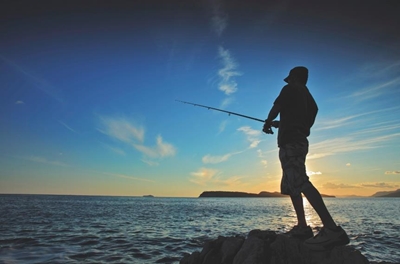 Fisheries Department calls for tighter laws on fishing industry