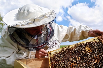 Information day for bee farmers