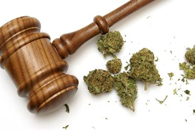 Jongman in hof vir dagga