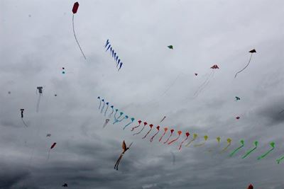 Eden Kite Festival a huge success