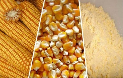 A first in SA maize milling