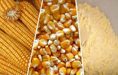 A first in SA maize milling