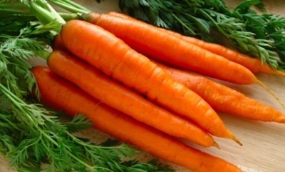 How to grow and harvest carrots