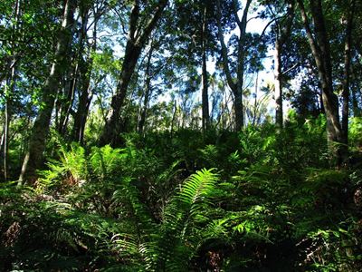 National Park trails closed due to heavy rain