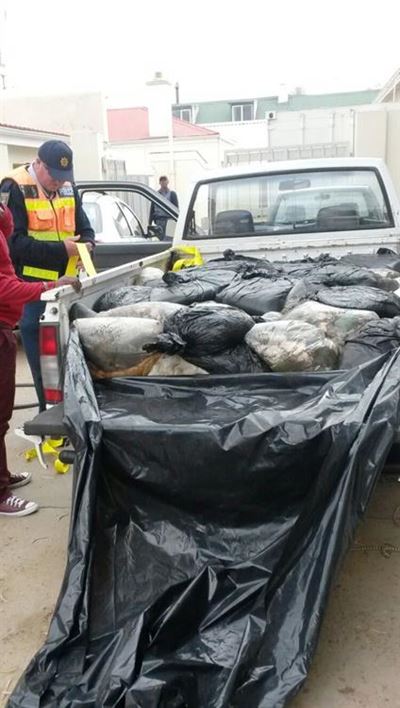Man busted for abalone worth R1,5 million
