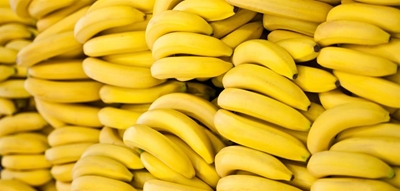 Outbreak of fungal disease could threaten SA bananas