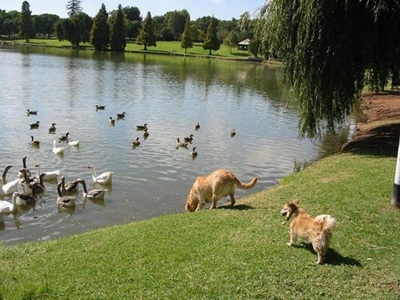 Rhodes Park attack: 2nd suspect arrested