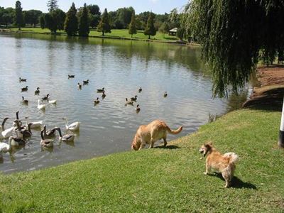 Rhodes Park attack: 2nd suspect arrested