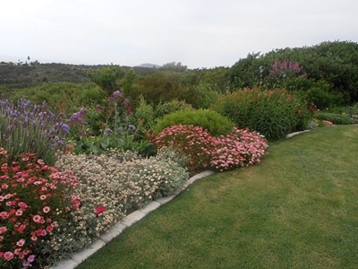 PAWS Open Gardens initiative a huge success