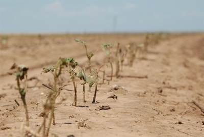 Government adds R100 million to drought relief efforts