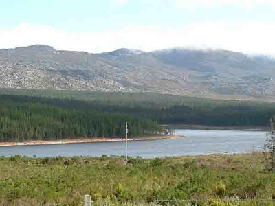 Cops discover abalone worth nearly R1 million a Steenbras Dam